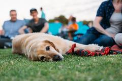 SouthPerthSounds2018_MonicaDefendiPhotography229
