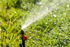 Sprinkler
