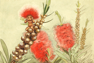 May Gibbs - The Bottle Brush Babie, 1916