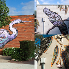 James Giddy murals across 3 walls
