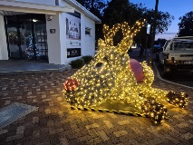 Christmas light reindeer