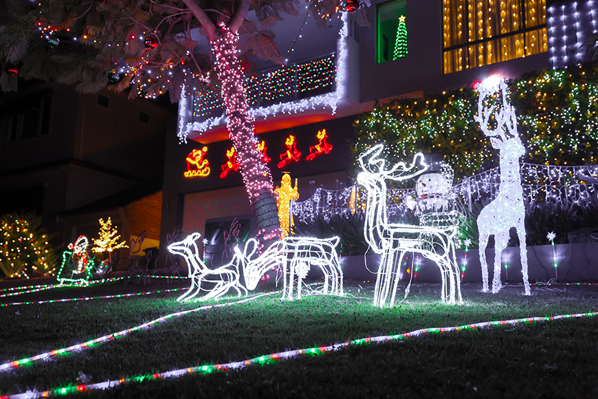 Bright reindeer Christmas lights on display on a lawn