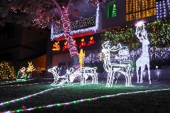 Bright reindeer Christmas lights on display on a lawn