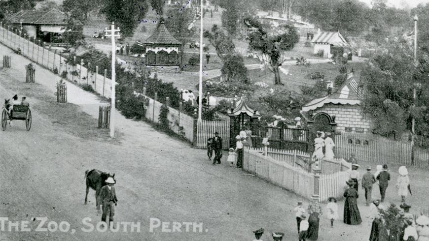 Zoo 1898