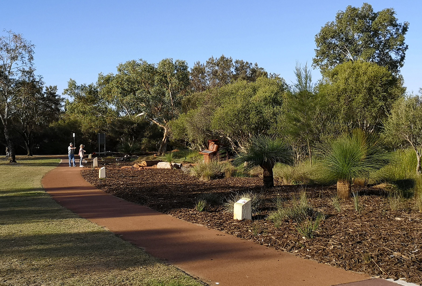 Park footpath with native plants