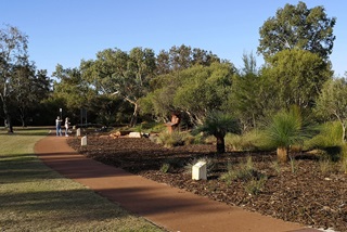 Park footpath with native plants