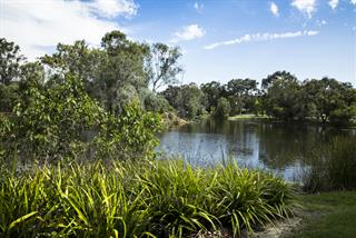 Lake in Neil McDougall Park