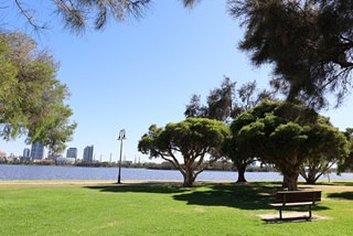 Park bench overlooking river foreshore