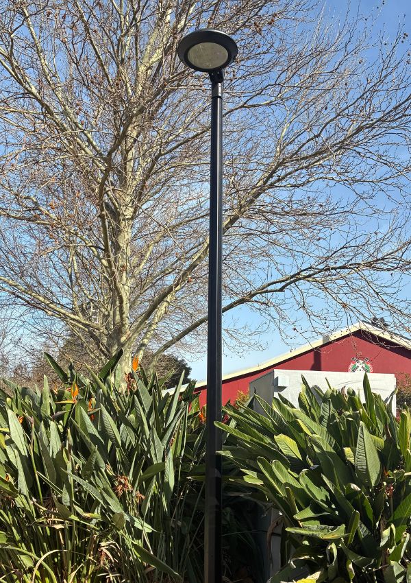 A new LED light in Windsor Park