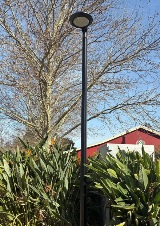 A new LED light in Windsor Park