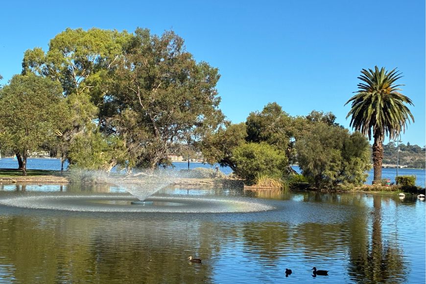 The new aerator at Lake Hurlingham