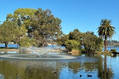 The new aerator at Lake Hurlingham