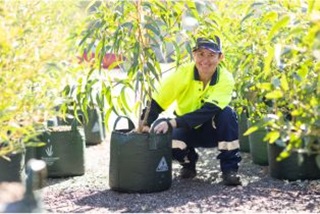 ACityworkerwithatreeintheCitysnursery