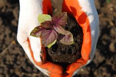 EnvironmentalSustainabilityWorkshops