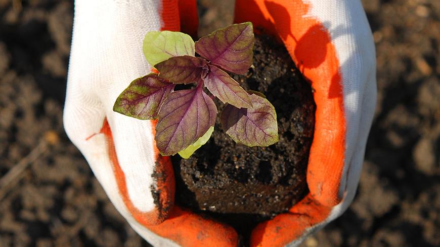 EnvironmentalSustainabilityWorkshops