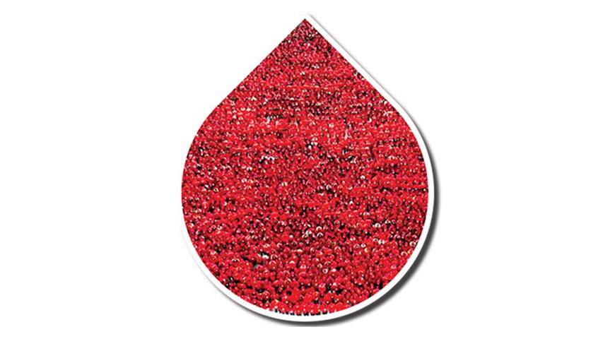 Blood