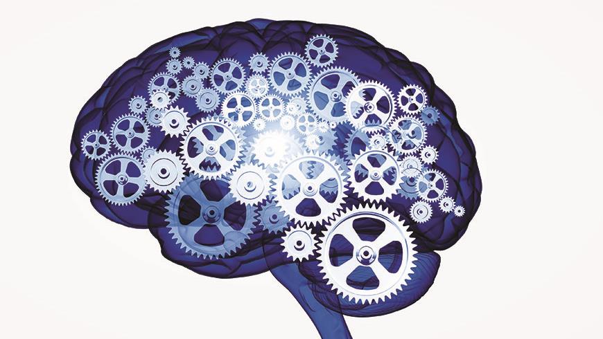 Getthefactsbrain
