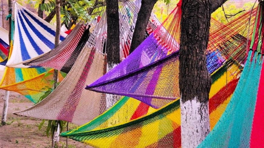 Hammock