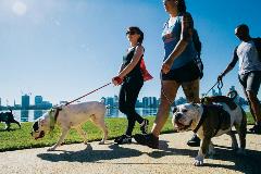 MillionPawsWalk