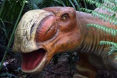 Zoorassic Park Perth Zoo