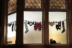 WindowWonderland