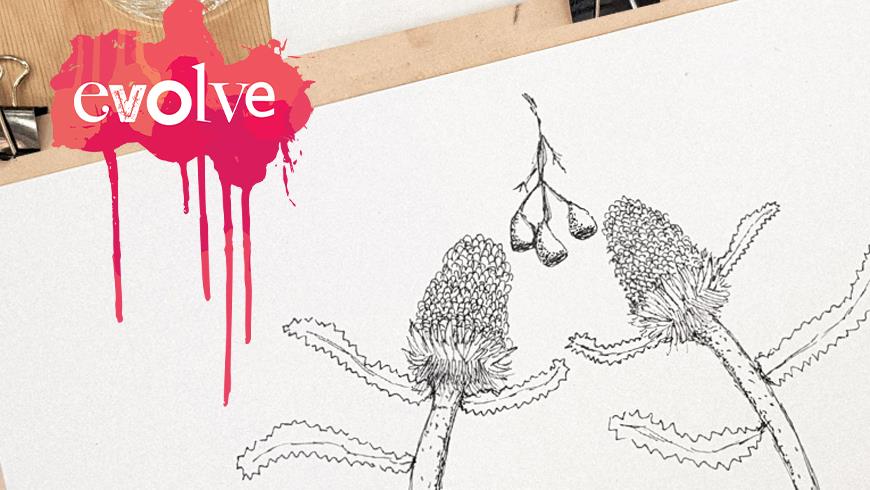 Evolvebotanicalweb