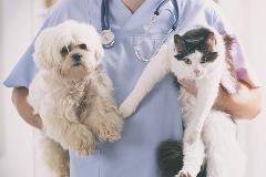 Petmicrochippingvet