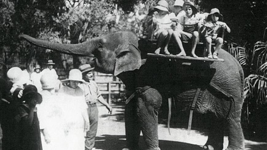 HistoryofZoo-web