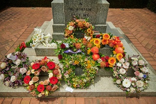 remembrancedayflowers