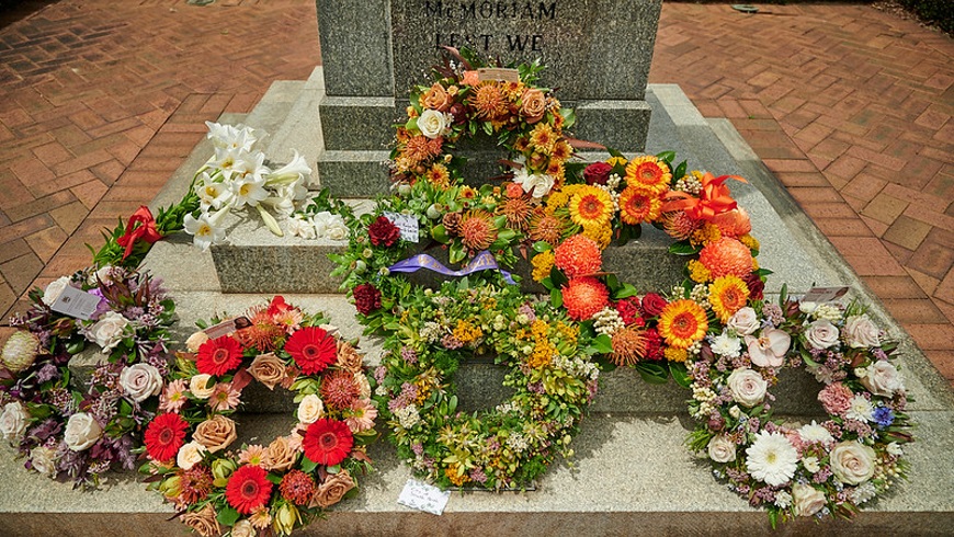 remembrancedayflowers