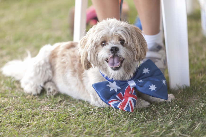 Australia Day 