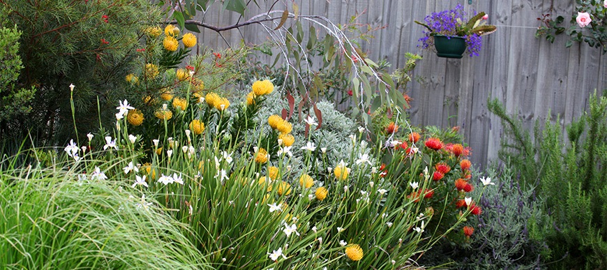 Sustainablegardens