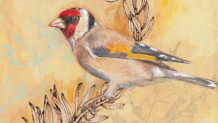 Watercolourbirds