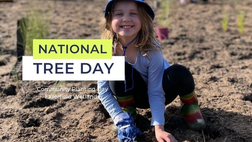 NationalTreeDay2024