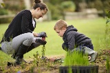 NationalTreePlantingDay