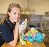 Catboardingservice