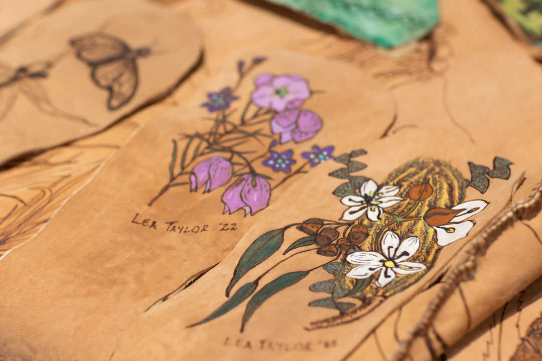 Close up of an artistic kangaroo skin cloak with flower's and the artist's name Lea Taylor embroidered on the skin.