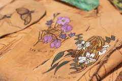 Close up of an artistic kangaroo skin cloak with flower's and the artist's name Lea Taylor embroidered on the skin.