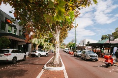 ImageofAngeloStreetcentreisland