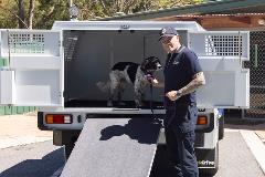 AnimalCareFacility-1