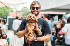 Dogownership