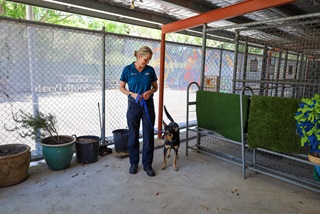 Staff with dog on lead