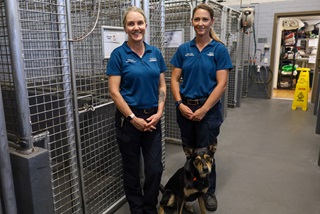 Staff with dog on lead