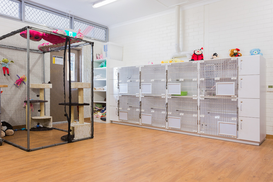 Animal Care Facility-11