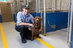 AnimalCareFacility-22