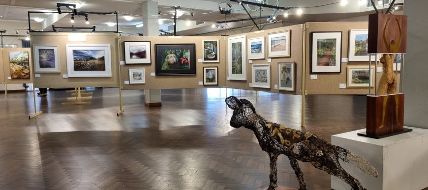 ArtGalleryDisplay