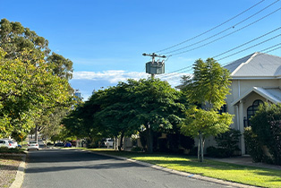 A tree-lined street with overhead powerlines.