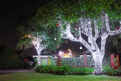 A house and trees covered in Christmas Lights.