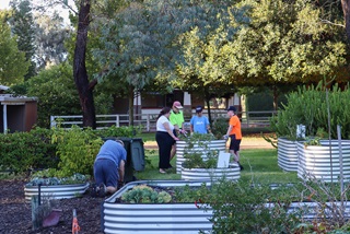 Agroupofpeoplearoundavegetablepatchinacommunitygarden