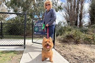 WomanwithanapricotcolouredAustralianterrierinfrontofanoff-leaddogparksdoublegates